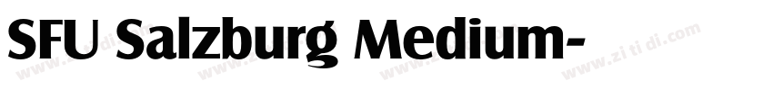 SFU Salzburg Medium字体转换